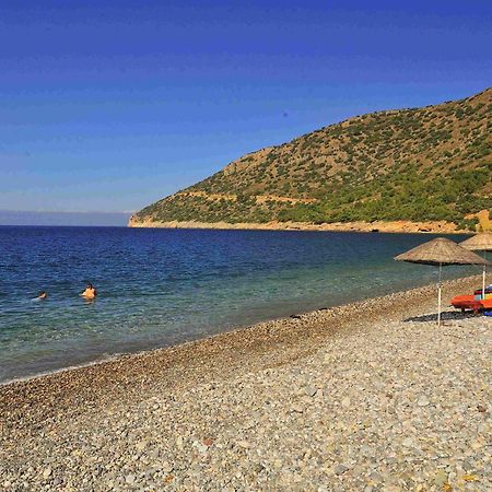 Melinda Pension & Restaurant Mesudiye  Esterno foto