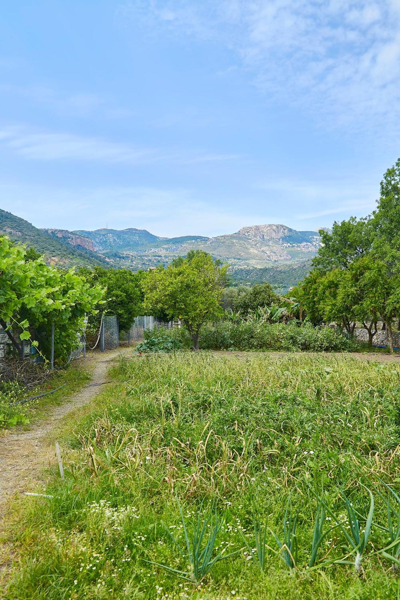 Melinda Pension & Restaurant Mesudiye  Esterno foto
